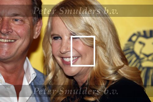 Scheveningen 17 oktober 2018
2 jaar de Lion King in het afas circustheater. Linda de Mol en Albert Verlinde