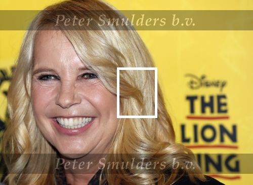 Scheveningen 17 oktober 2018
2 jaar de Lion King in het afas circustheater. Linda de Mol en Albert Verlinde
