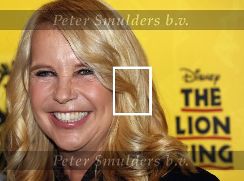 Scheveningen 17 oktober 2018
2 jaar de Lion King in het afas circustheater. Linda de Mol en Albert Verlinde