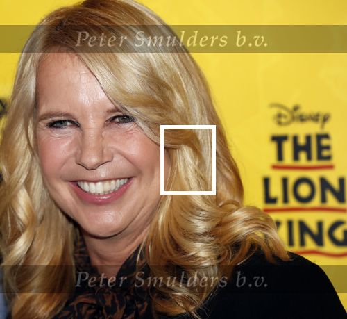 Scheveningen 17 oktober 2018
2 jaar de Lion King in het afas circustheater. Linda de Mol en Albert Verlinde