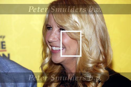 Scheveningen 17 oktober 2018
2 jaar de Lion King in het afas circustheater. Linda de Mol en Albert Verlinde
