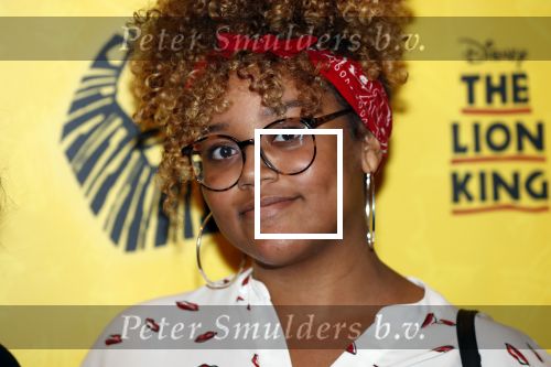 Scheveningen 17 oktober 2018
2 jaar de Lion King in het afas circustheater.
