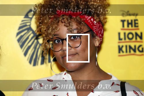 Scheveningen 17 oktober 2018
2 jaar de Lion King in het afas circustheater.