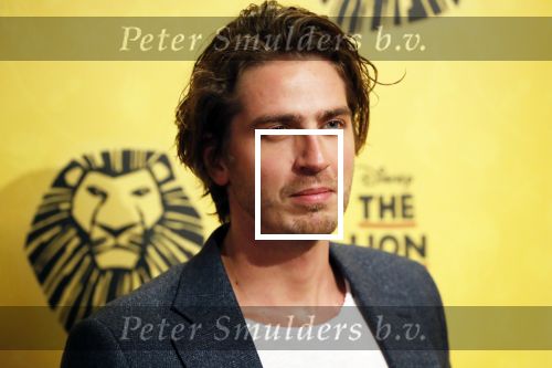 Scheveningen 17 oktober 2018
2 jaar de Lion King in het afas circustheater.
