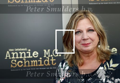 Amsterdam 30 september 2018
1 jaar Annie MG Schmidt in het delamar theater. Loretta Schrijver