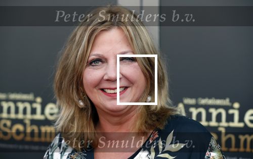 Amsterdam 30 september 2018
1 jaar Annie MG Schmidt in het delamar theater. Loretta Schrijver