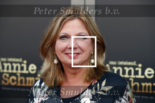 Amsterdam 30 september 2018
1 jaar Annie MG Schmidt in het delamar theater. Loretta Schrijver