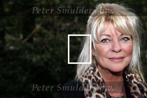Hilversum 8 oktober 2018
Boek presentatie Peter Koelewijn bij wisseloord studioâ€™s. Het boek is geschreven door Tjerk Lammers. Manuela Kemp