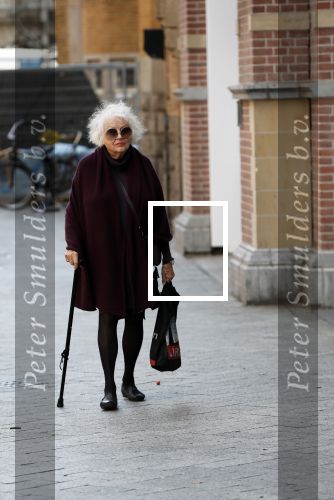Amsterdam 30 september 2018
1 jaar Annie MG Schmidt in het delamar theater. Marjan Berk