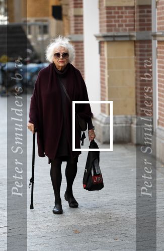 Amsterdam 30 september 2018
1 jaar Annie MG Schmidt in het delamar theater. Marjan Berk