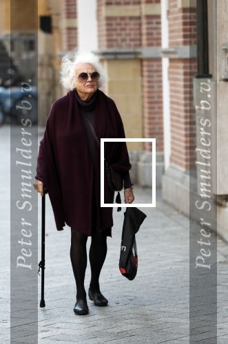 Amsterdam 30 september 2018
1 jaar Annie MG Schmidt in het delamar theater. Marjan Berk