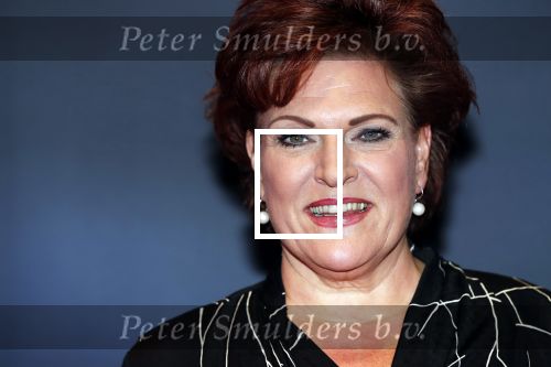 Amsterdam 22 augustus 2018
Premiere Evita in carre. Marjolein Touw met partner