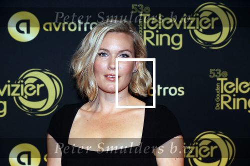 Amsterdam 11 oktober 2018
Uitreiking televizierring in AFAS LIVE.
Beau v Erven Dorens in de grote winnaar. Marlijn Weerdenburg