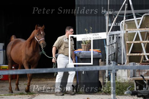 Wijdewormer 19 oktober 2018
Marnix Knetemann aan het werk op zijn boerderij. Zij zus Elise komt op bezoek met haar pas geboren baby.