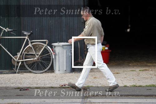 Wijdewormer 19 oktober 2018
Marnix Knetemann aan het werk op zijn boerderij. Zij zus Elise komt op bezoek met haar pas geboren baby.