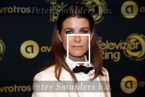 Amsterdam 11 oktober 2018
Uitreiking televizierring in AFAS LIVE.
Beau v Erven Dorens in de grote winnaar. Merel Westrik kwam met Kristien v Dillen