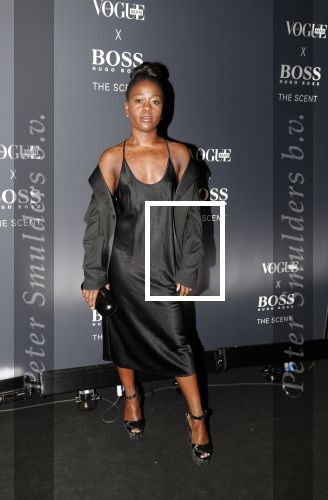 Amsterdam 1 november 2018
Voque en Hugo Boss avond in het stedelijk museum. Michaela DePrince