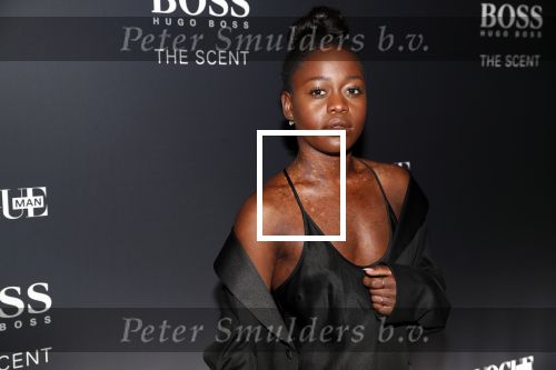 Amsterdam 1 november 2018
Voque en Hugo Boss avond in het stedelijk museum. Michaela DePrince