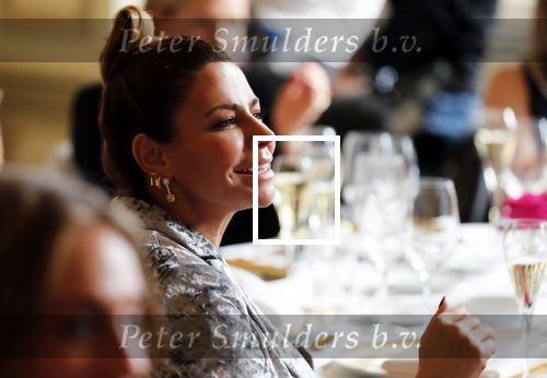 Amsterdam 13 november 2018
Presentatie parfum van Olcay Gulsen in het waldorf Astoria Hotel.
