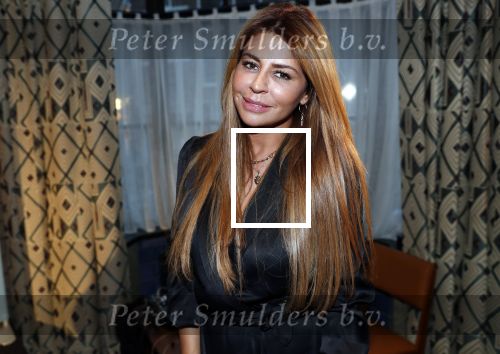 Amsterdam 23 oktober 2018
Boekpresentatie van Antoinette Scheulderman in de soho House . Eva Jinek overhandigt haar het eerste boek. Olcay Gulsen