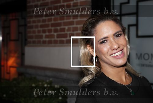 Amsterdam 4 oktober 2018
Feest ivm 10 jarig bestaan van Momo in Amsterdam. Priscilla Nasi