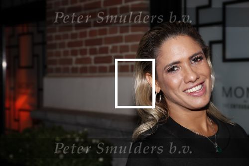 Amsterdam 4 oktober 2018
Feest ivm 10 jarig bestaan van Momo in Amsterdam. Priscilla Nasi