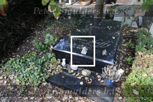 Amsterdam 9 oktober 2018
Diverse graven van bekende Nederlanders (Bners) op Zorgvlied.
Dit is het graf van Ramses Shaffy.