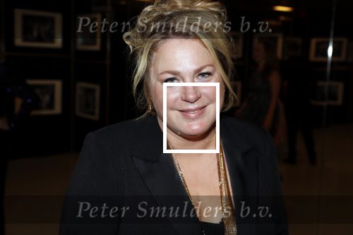 Amsterdam 11 oktober 2018
Uitreiking televizierring in AFAS LIVE.
Beau v Erven Dorens in de grote winnaar. Rian Gerritsen
Foto Lizeth de Weger
Foto Lizeth de Weger
Algemene informatie
Geboren	24 november 1971
Geboorteplaats	Babberich
Land	Vlag van Nederland Nederland
Werk
Jaren actief	1997 - heden
Beroep	actrice
OfficiÃ«le website
(en) IMDb-profiel
Portaal  Portaalicoon  	Film 
Televisie
Rian Gerritsen