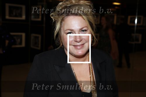 Amsterdam 11 oktober 2018
Uitreiking televizierring in AFAS LIVE.
Beau v Erven Dorens in de grote winnaar. Rian Gerritsen
Foto Lizeth de Weger
Foto Lizeth de Weger
Algemene informatie
Geboren	24 november 1971
Geboorteplaats	Babberich
Land	Vlag van Nederland Nederland
Werk
Jaren actief	1997 - heden
Beroep	actrice
OfficiÃ«le website
(en) IMDb-profiel
Portaal  Portaalicoon  	Film 
Televisie
Rian Gerritsen