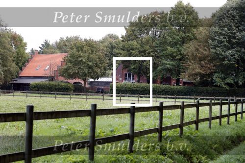 Rijkevorsel 2 oktober 2018
Robbert Hinfelaar gaat naar gemeentehuis en Horeca meubilair winkel. Daarna gaat hij naar huis van zijn ouders.