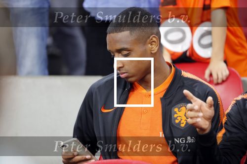 Amsterdam 13 oktober 2018
Nederland - Duitsland in de Johan Cruijff arena . eindstand 3-0 . Rosario geschorst op de tribune