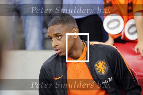 Amsterdam 13 oktober 2018
Nederland - Duitsland in de Johan Cruijff arena . eindstand 3-0 . Rosario geschorst op de tribune