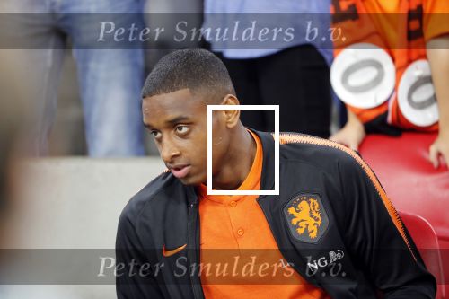 Amsterdam 13 oktober 2018
Nederland - Duitsland in de Johan Cruijff arena . eindstand 3-0 . Rosario geschorst op de tribune