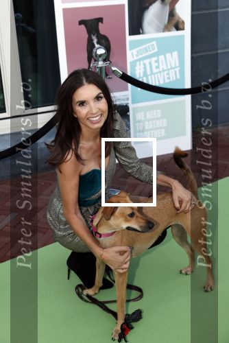 Amsterdam 4 oktober 2018
Gala ten bate van het Kluivert Dog rescue center op Curacao (patrick en Rosanna Kluivert) in het Pescana Hotel.