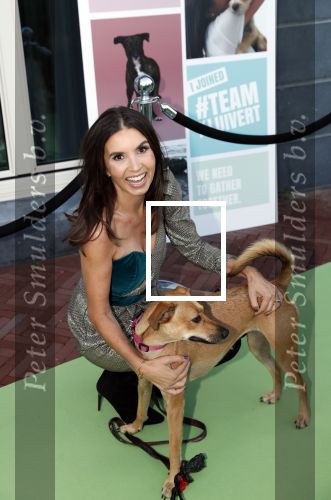 Amsterdam 4 oktober 2018
Gala ten bate van het Kluivert Dog rescue center op Curacao (patrick en Rosanna Kluivert) in het Pescana Hotel.