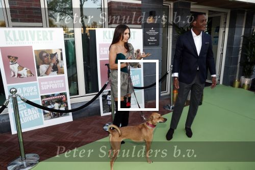 Amsterdam 4 oktober 2018
Gala ten bate van het Kluivert Dog rescue center op Curacao (patrick en Rosanna Kluivert) in het Pescana Hotel.