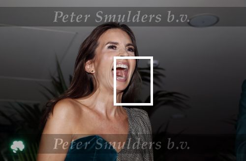 Amsterdam 4 oktober 2018
Gala ten bate van het Kluivert Dog rescue center op Curacao (patrick en Rosanna Kluivert) in het Pescana Hotel.