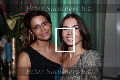 Amsterdam 4 oktober 2018
Gala ten bate van het Kluivert Dog rescue center op Curacao (patrick en Rosanna Kluivert) in het Pescana Hotel.