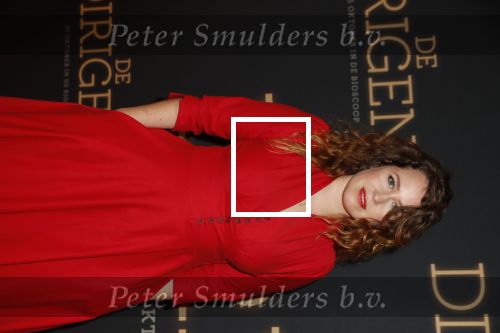 Amsterdam 23 oktober 2018
Premiere de dirigent in Tuschinski. Sanne Vogel met