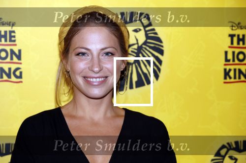 Scheveningen 17 oktober 2018
2 jaar de Lion King in het afas circustheater. sarah Chronis