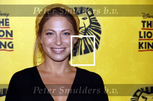 Scheveningen 17 oktober 2018
2 jaar de Lion King in het afas circustheater. sarah Chronis