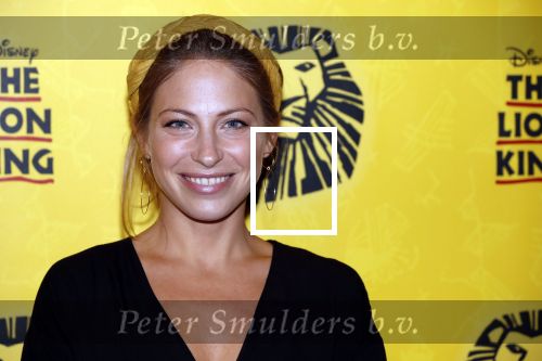 Scheveningen 17 oktober 2018
2 jaar de Lion King in het afas circustheater. sarah Chronis