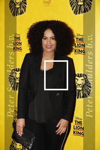 Scheveningen 17 oktober 2018
2 jaar de Lion King in het afas circustheater. Sharon Doorson met vriend