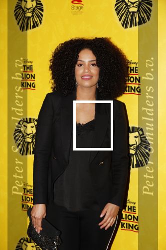 Scheveningen 17 oktober 2018
2 jaar de Lion King in het afas circustheater. Sharon Doorson met vriend