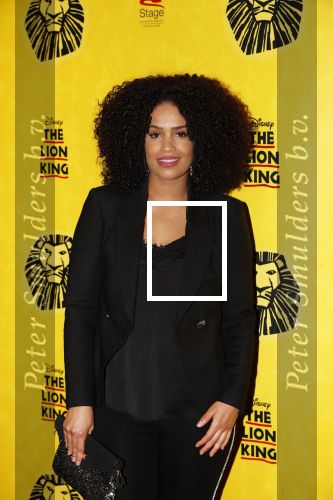 Scheveningen 17 oktober 2018
2 jaar de Lion King in het afas circustheater. Sharon Doorson met vriend