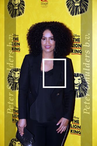 Scheveningen 17 oktober 2018
2 jaar de Lion King in het afas circustheater. Sharon Doorson met vriend