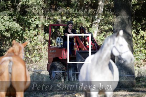 Boekel 10 oktober 2018
Steffi Verhagen aan het werk bij haar boerderij. In beokel zijn momenteel veel wolven waar jacht op wordt gemaakt door jagers.