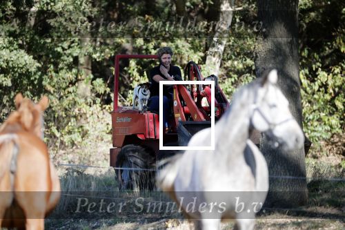 Boekel 10 oktober 2018
Steffi Verhagen aan het werk bij haar boerderij. In beokel zijn momenteel veel wolven waar jacht op wordt gemaakt door jagers.