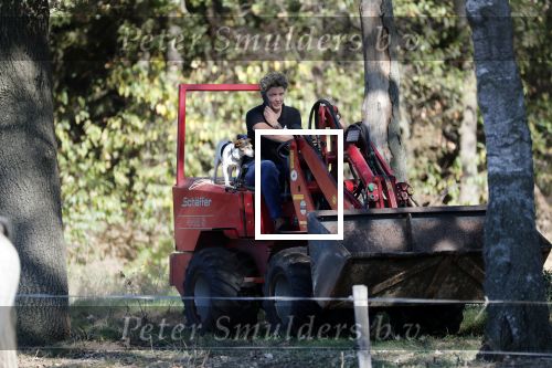 Boekel 10 oktober 2018
Steffi Verhagen aan het werk bij haar boerderij. In beokel zijn momenteel veel wolven waar jacht op wordt gemaakt door jagers.