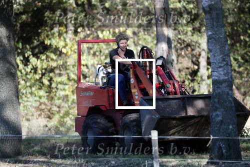 Boekel 10 oktober 2018
Steffi Verhagen aan het werk bij haar boerderij. In beokel zijn momenteel veel wolven waar jacht op wordt gemaakt door jagers.